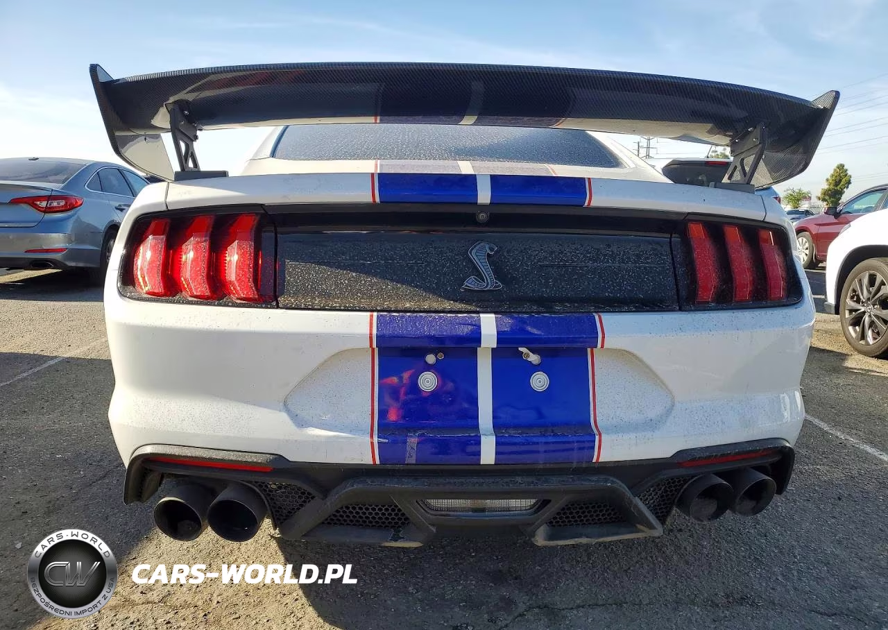 2020 Ford Mustang Shelby Gt500 VIN:1FA6P8SJ8L5505291 - 6