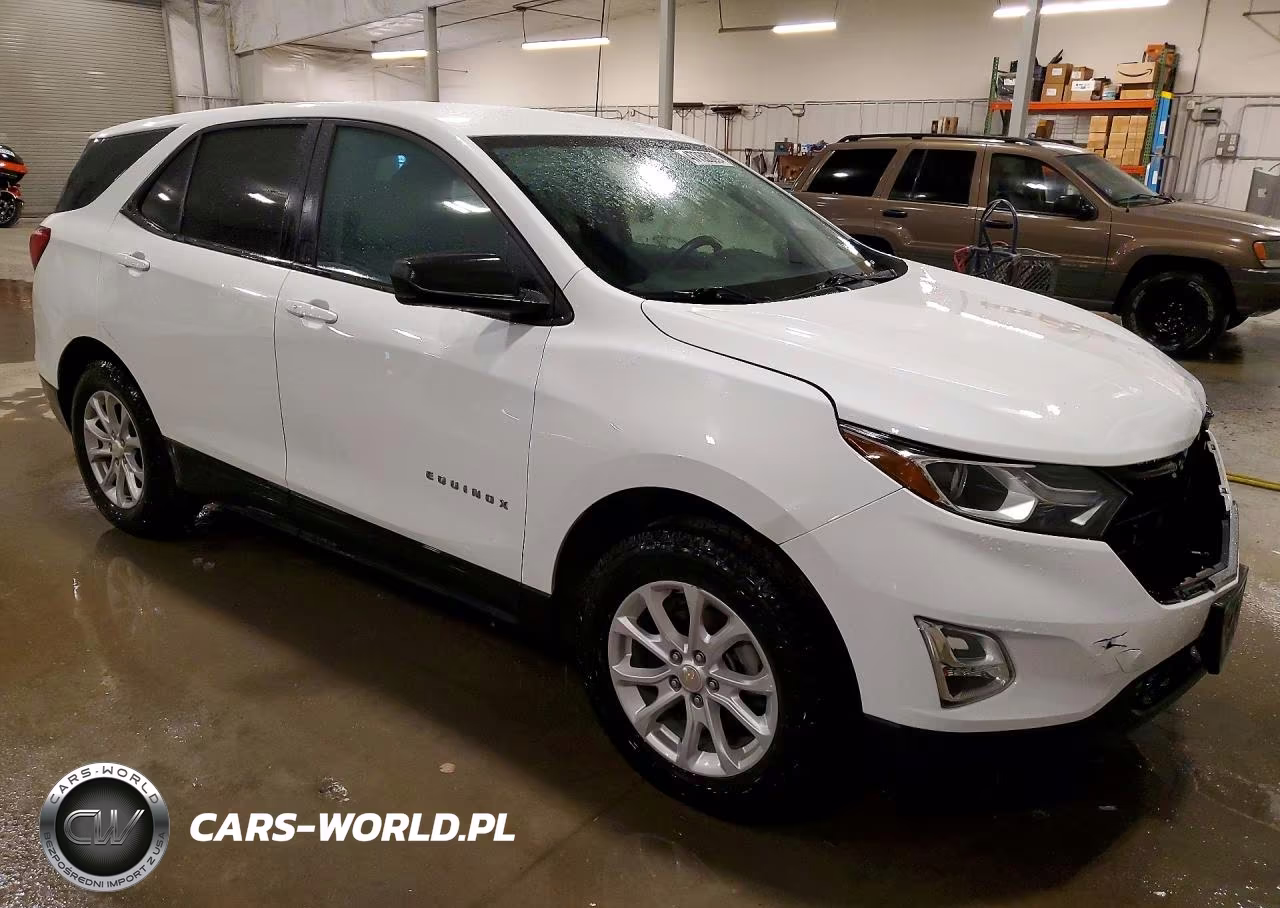 2020 Chevrolet Equinox Ls VIN:3GNAXSEV5LS610402 - 4