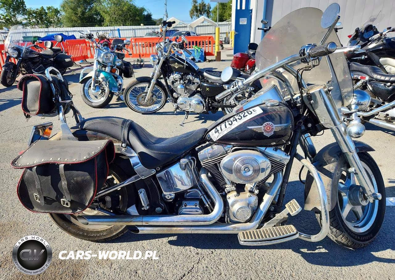 2002 Harley Davidson Flstfi