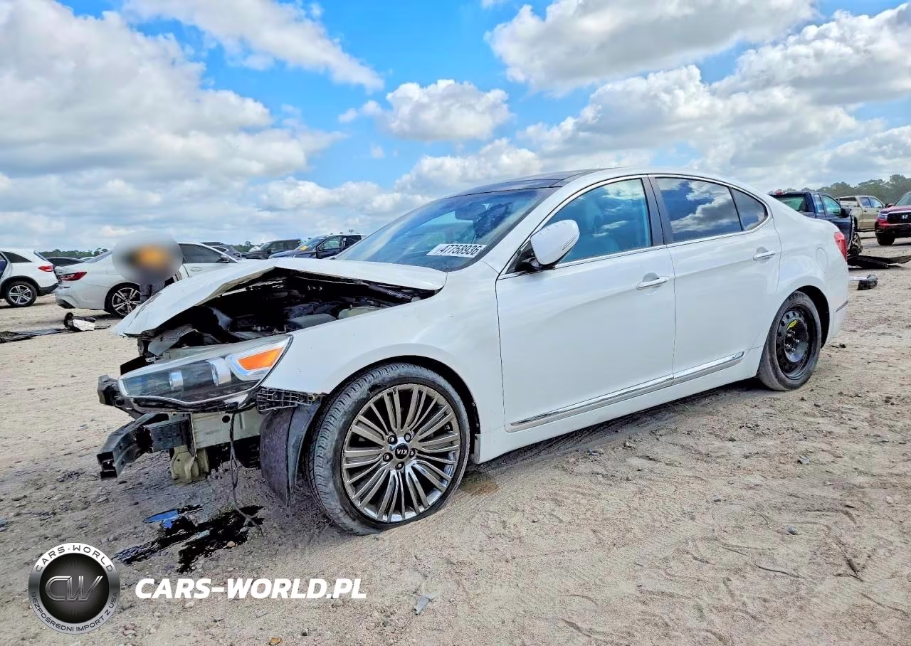2014 Kia Cadenza