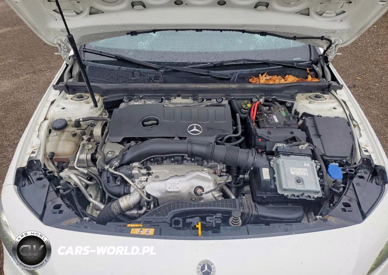 2022 Mercedes-Benz A 220 4Matic VIN:W1K3G4FB5NJ349946 - 11