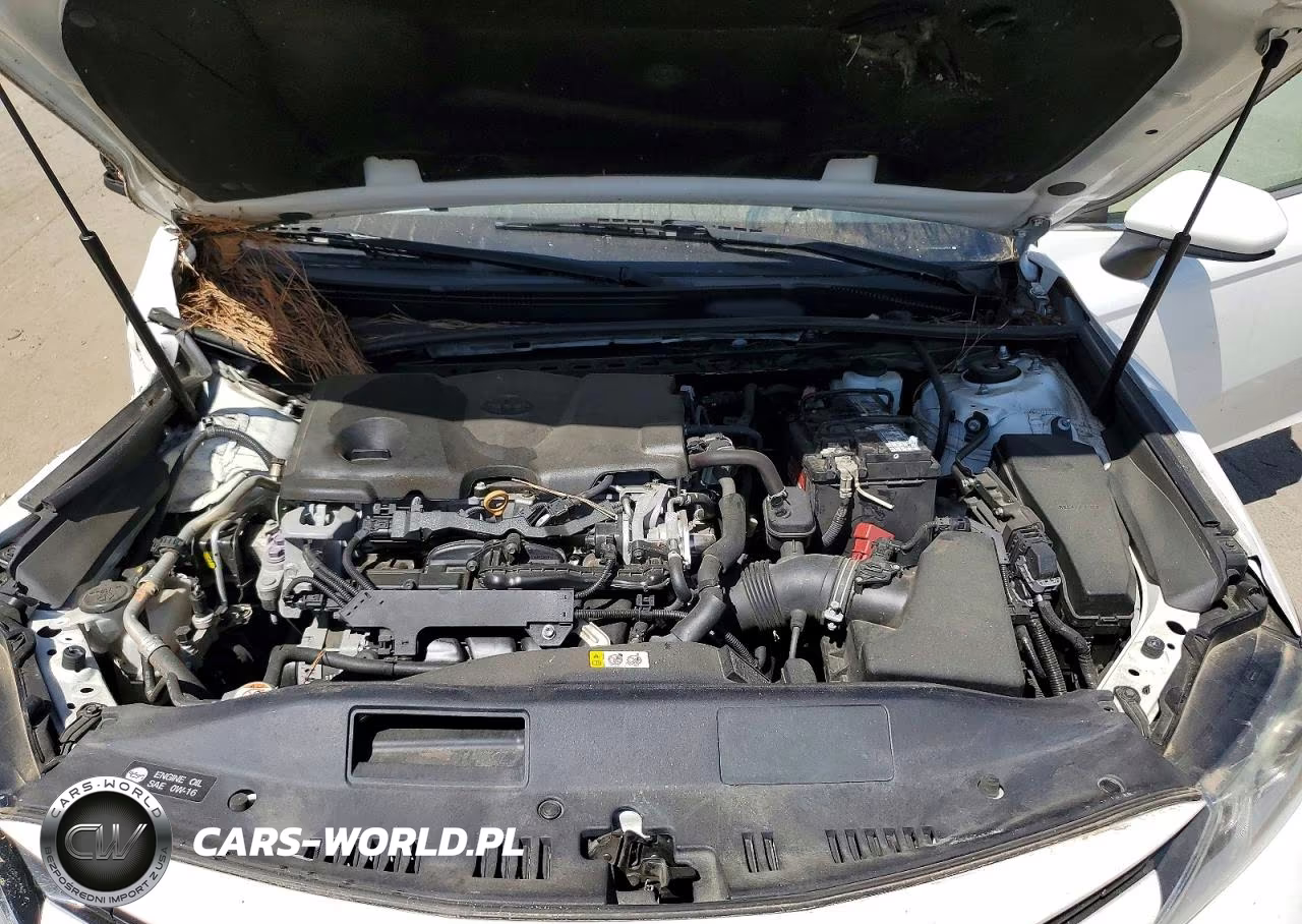 2019 Toyota Camry Le VIN:4T1B11HK5KU252643 - 11