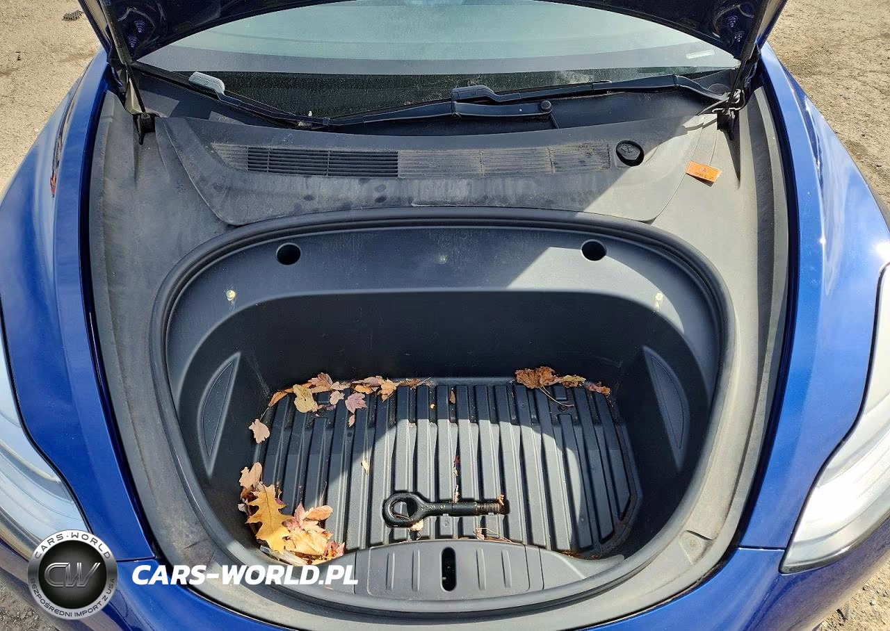 2020 Tesla Model 3 VIN:5YJ3E1EA0LF794025 - 11