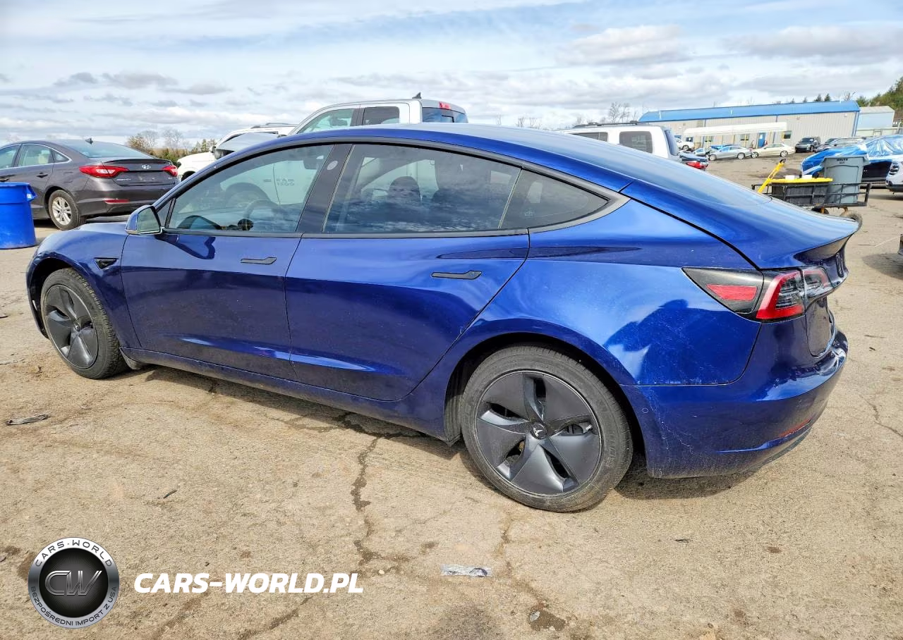 2020 Tesla Model 3 VIN:5YJ3E1EA0LF794025 - 2