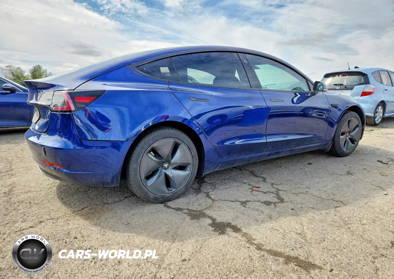 2020 Tesla Model 3 VIN:5YJ3E1EA0LF794025 - 3