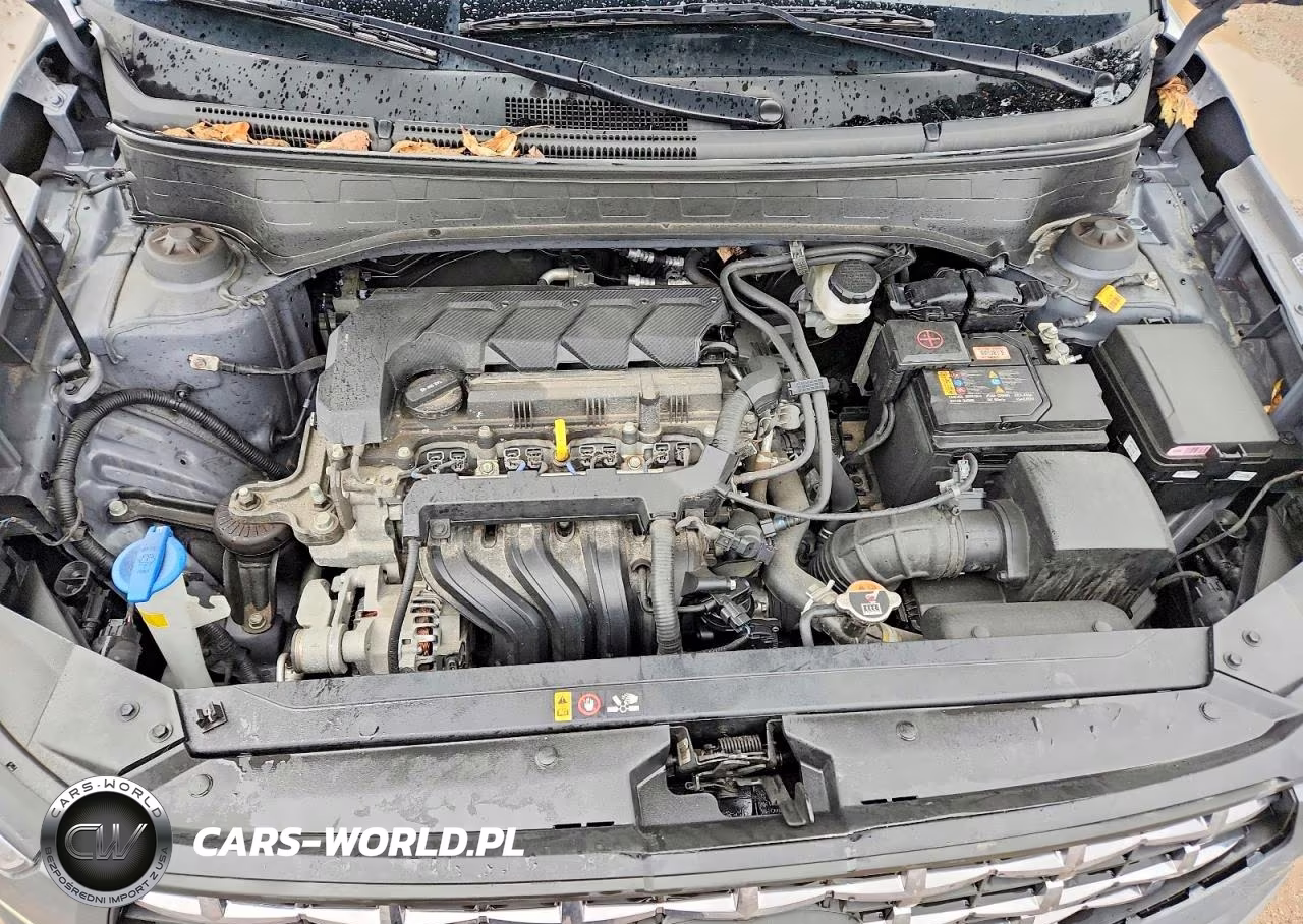 2024 Hyundai Venue Limited VIN:KMHRC8A36RU312640 - 11