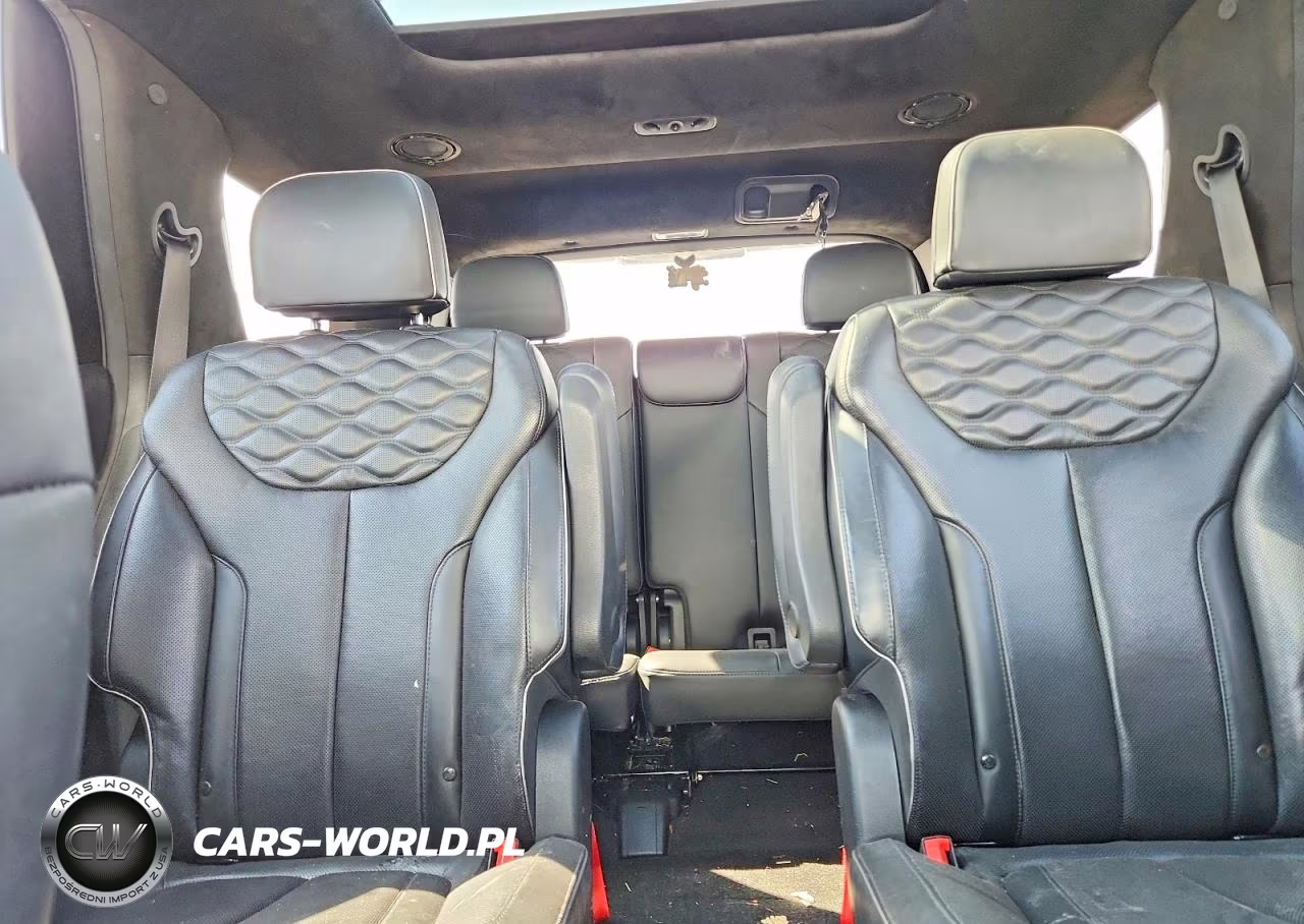 2020 Hyundai Palisade VIN:KM8R54HE8LU052212 - 10