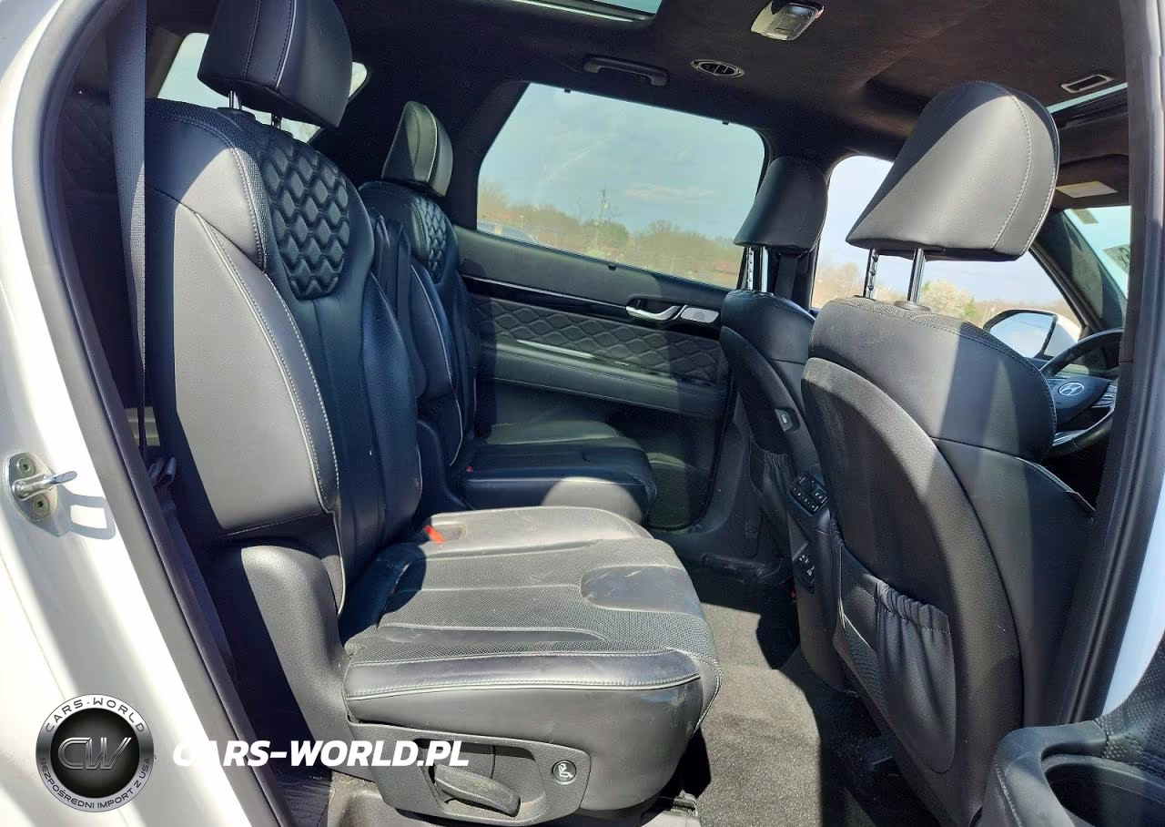 2020 Hyundai Palisade VIN:KM8R54HE8LU052212 - 11
