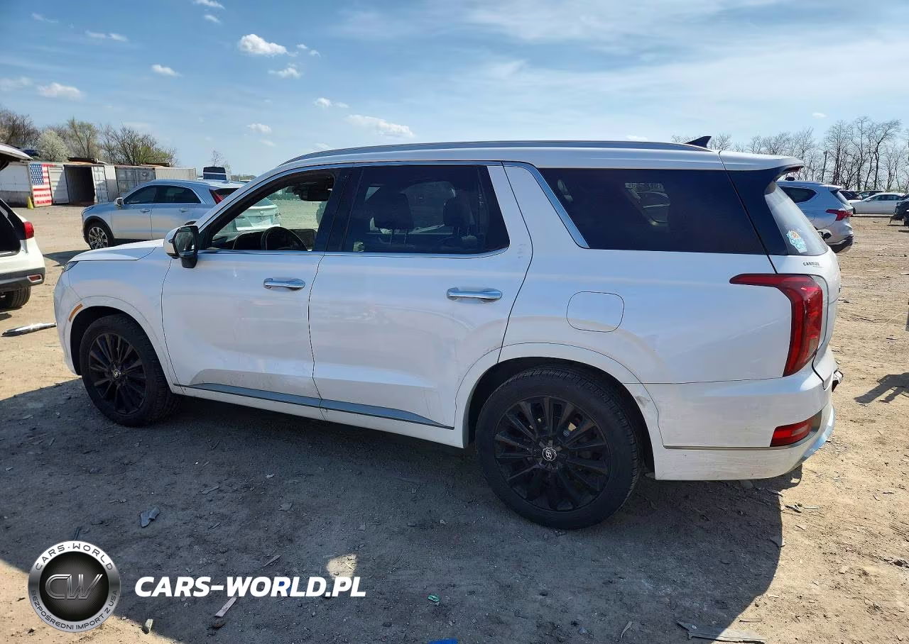2020 Hyundai Palisade VIN:KM8R54HE8LU052212 - 2