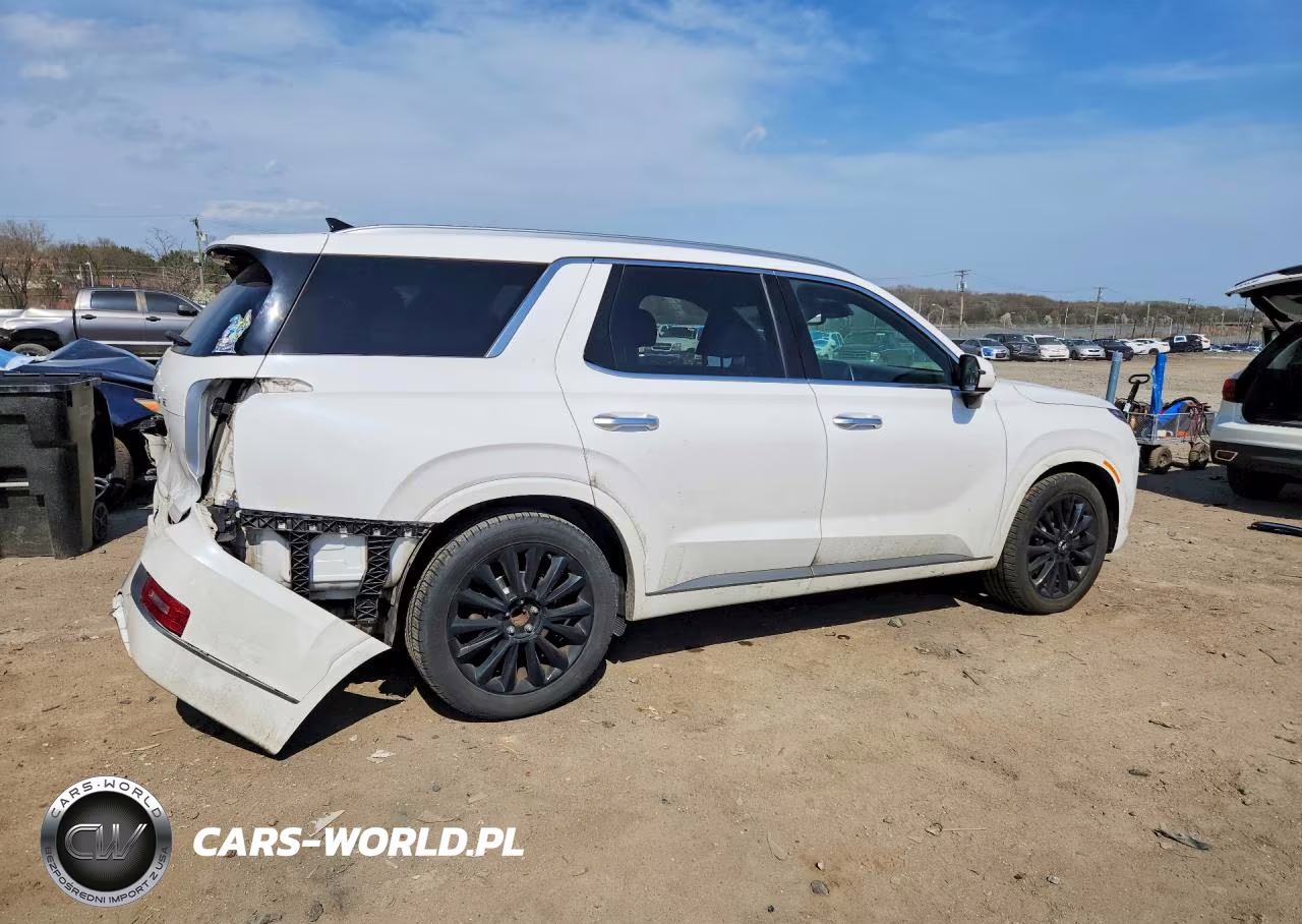 2020 Hyundai Palisade VIN:KM8R54HE8LU052212 - 3
