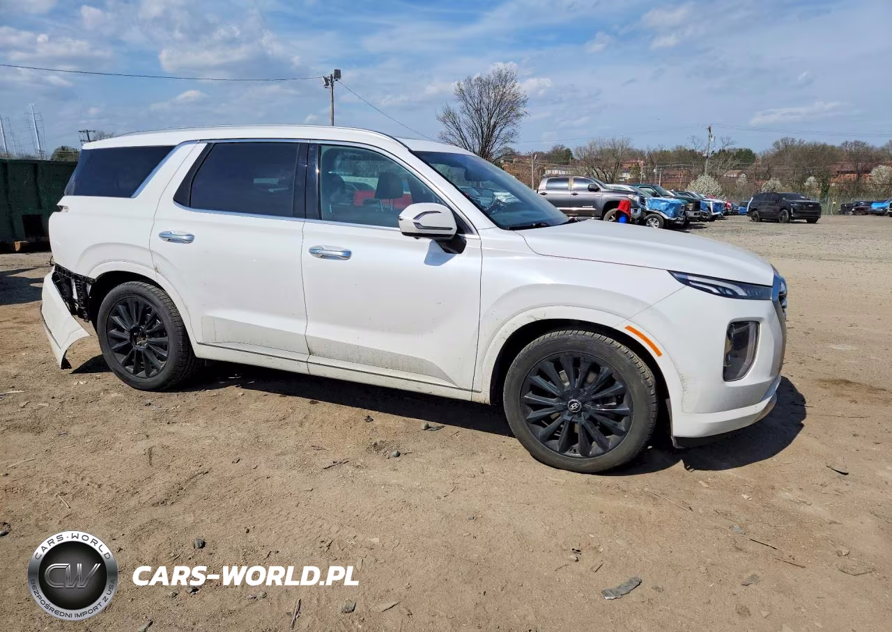 2020 Hyundai Palisade VIN:KM8R54HE8LU052212 - 4