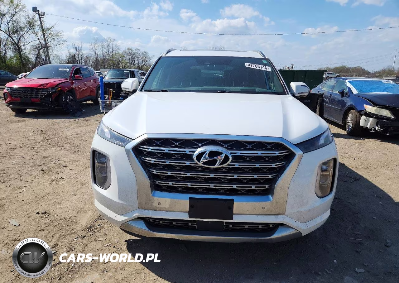 2020 Hyundai Palisade VIN:KM8R54HE8LU052212 - 5