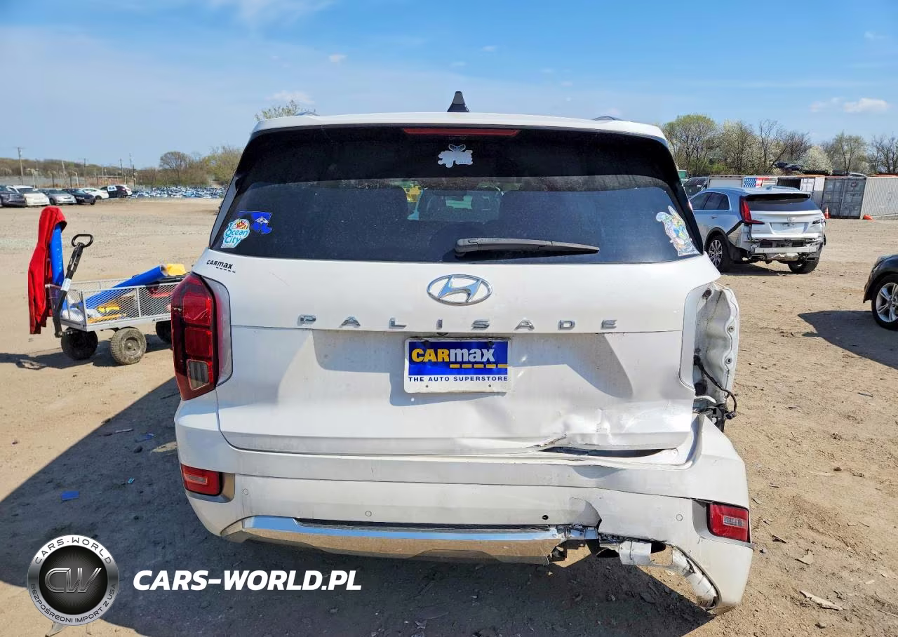 2020 Hyundai Palisade VIN:KM8R54HE8LU052212 - 6