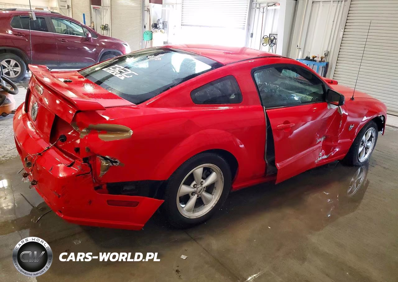 2009 Ford Mustang Gt VIN:1ZVHT82H995122445 - 3