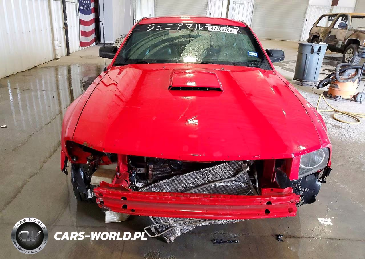 2009 Ford Mustang Gt VIN:1ZVHT82H995122445 - 5