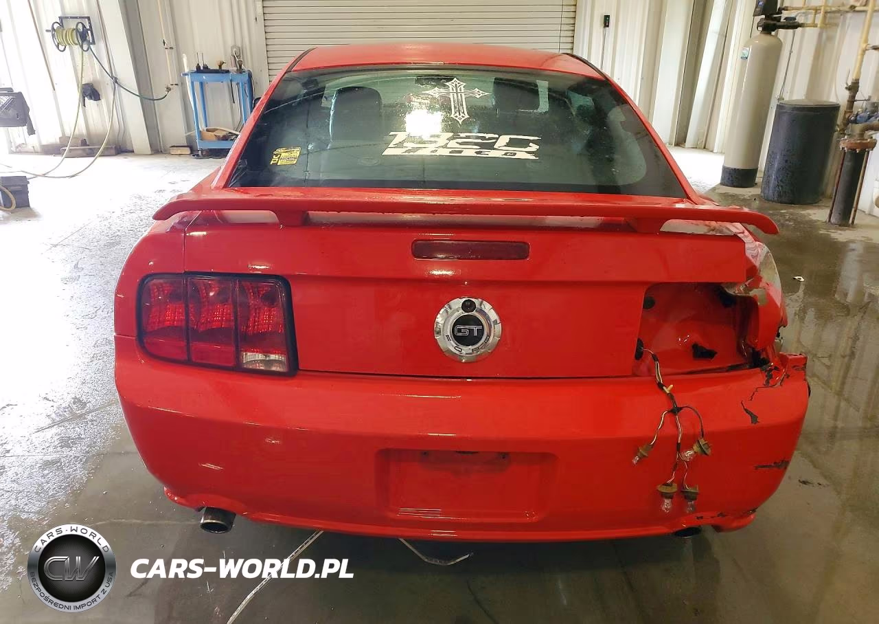 2009 Ford Mustang Gt VIN:1ZVHT82H995122445 - 6