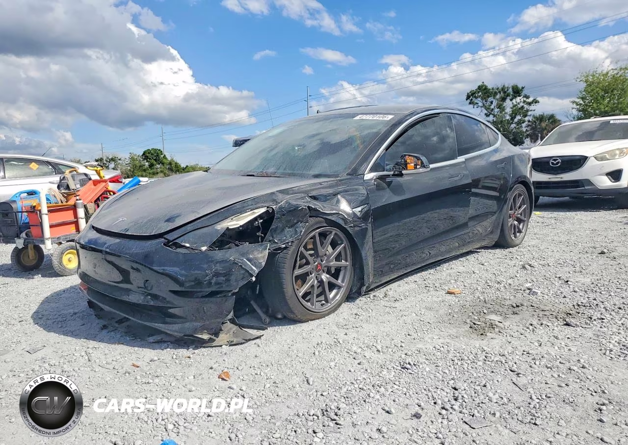 2019 Tesla Model 3