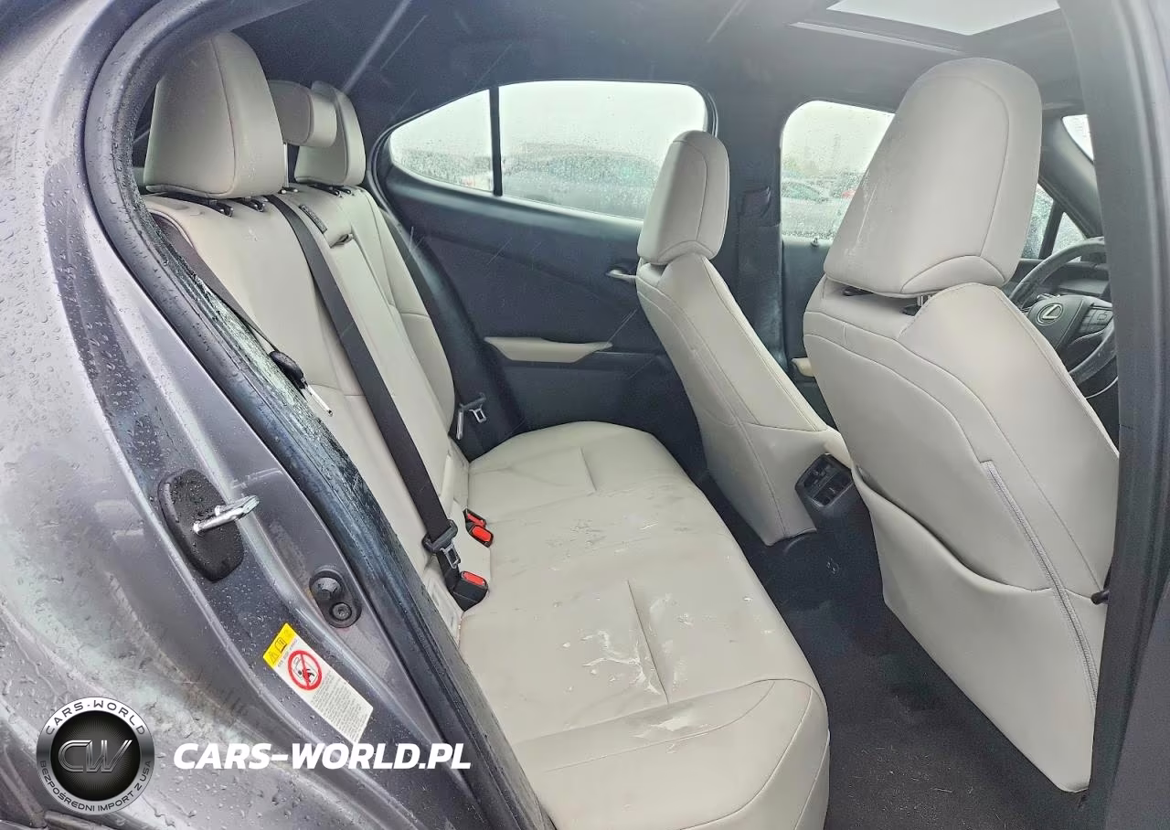 2019 Lexus Ux 200 Base VIN:JTHY3JBH5K2017711 - 10