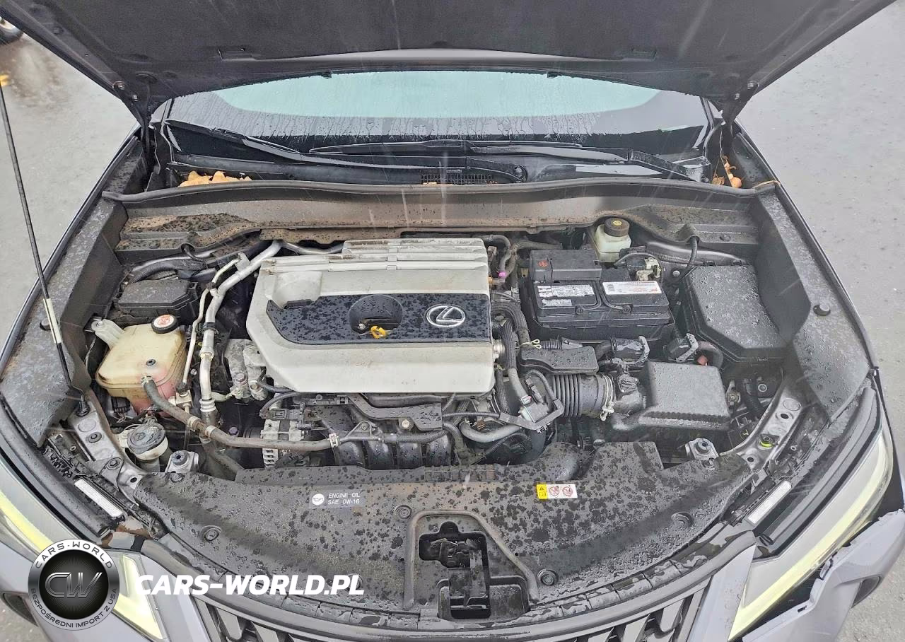 2019 Lexus Ux 200 Base VIN:JTHY3JBH5K2017711 - 11