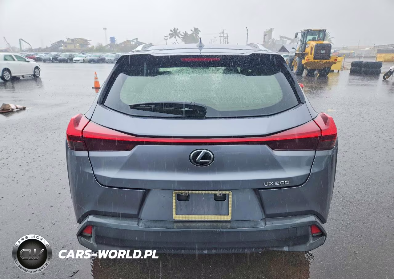 2019 Lexus Ux 200 Base VIN:JTHY3JBH5K2017711 - 6