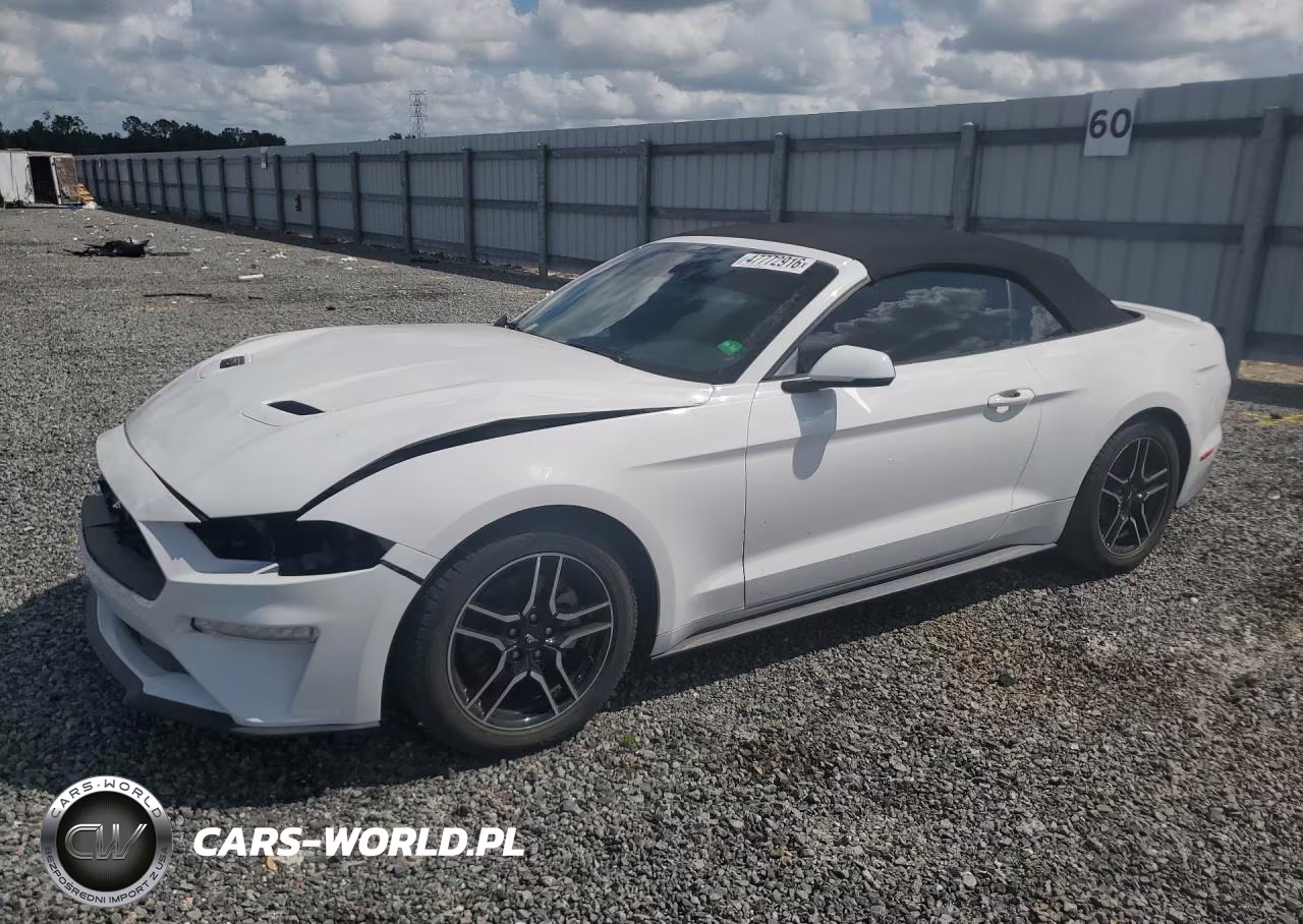 2019 Ford Mustang
