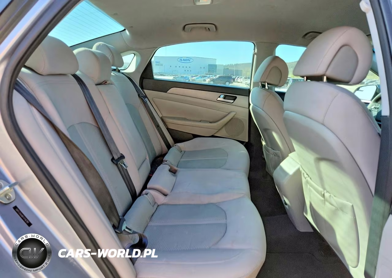 2015 Hyundai Sonata Eco VIN:5NPE24AA6FH116782 - 10