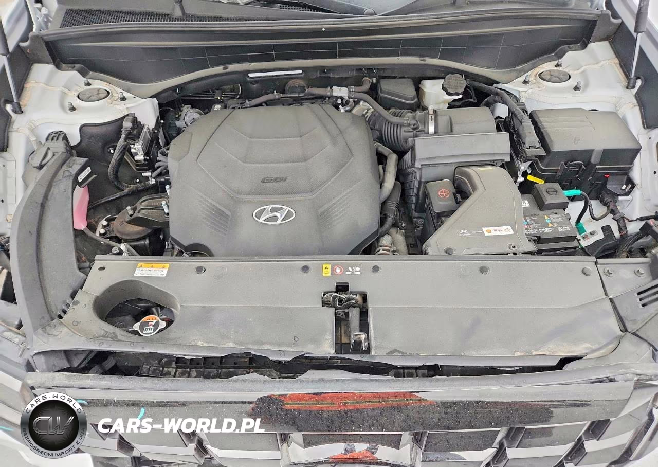 2023 Hyundai Palisade Limited VIN:KM8R5DGE7PU533589 - 12