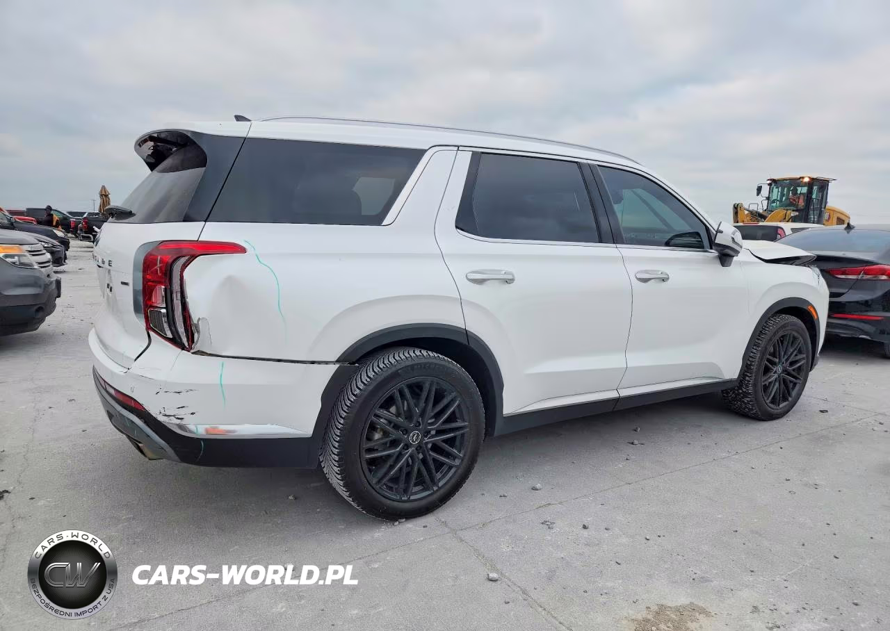 2023 Hyundai Palisade Limited VIN:KM8R5DGE7PU533589 - 3