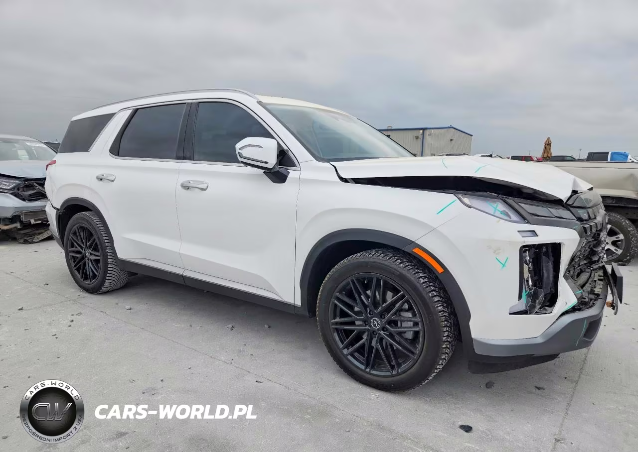 2023 Hyundai Palisade Limited VIN:KM8R5DGE7PU533589 - 4