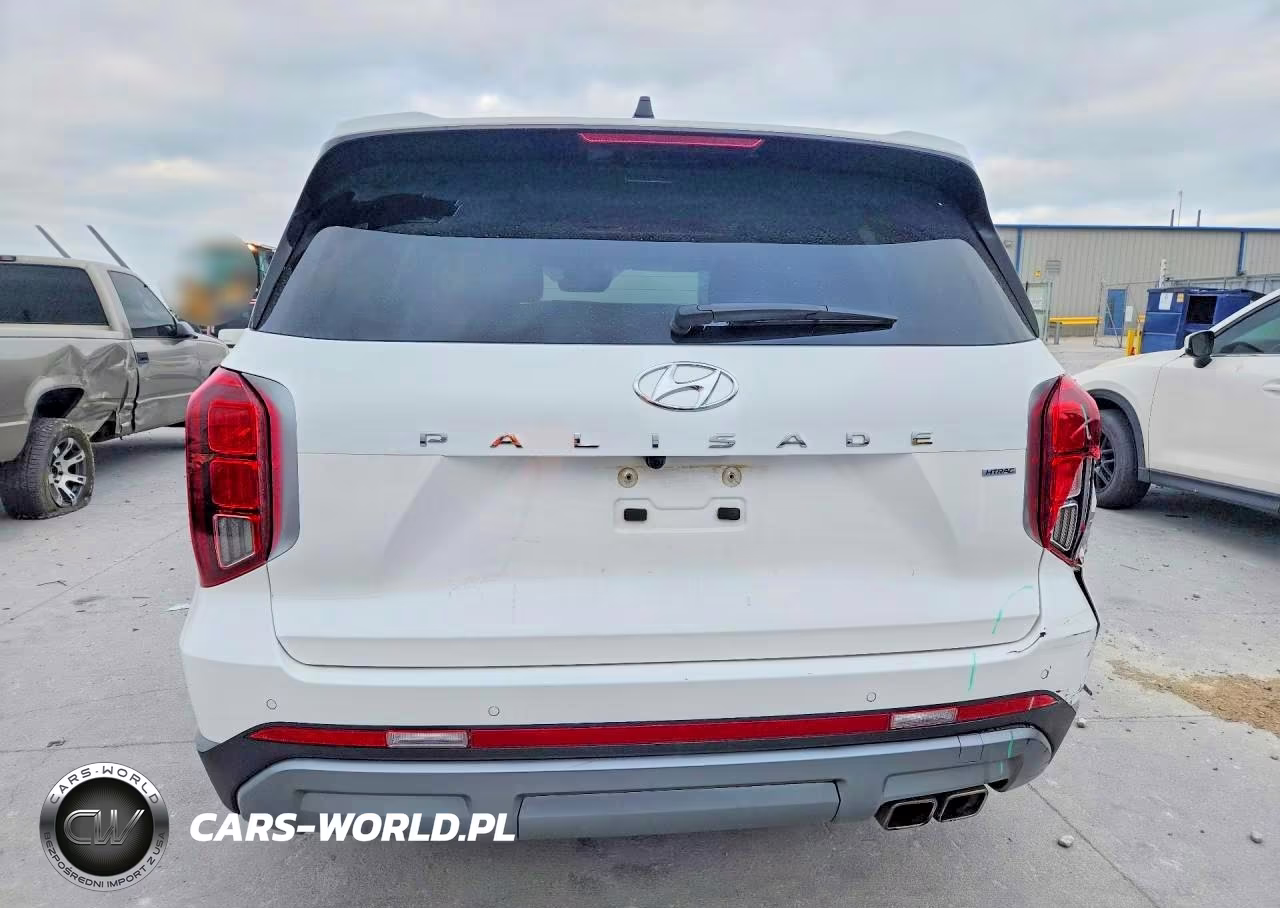 2023 Hyundai Palisade Limited VIN:KM8R5DGE7PU533589 - 6