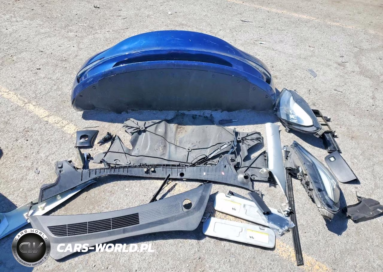 2019 Tesla Model 3 VIN:5YJ3E1EA1KF402247 - 12
