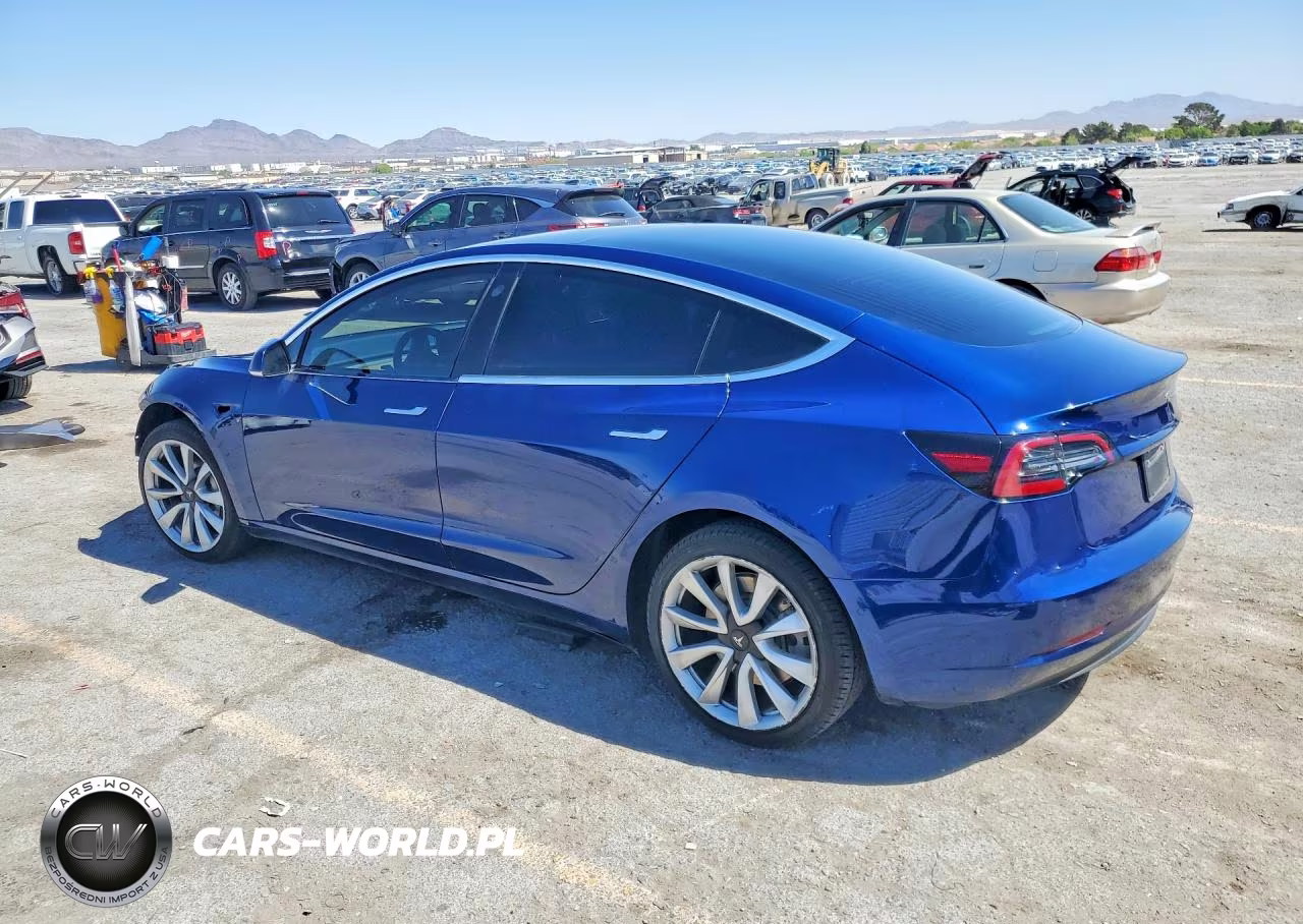 2019 Tesla Model 3 VIN:5YJ3E1EA1KF402247 - 2
