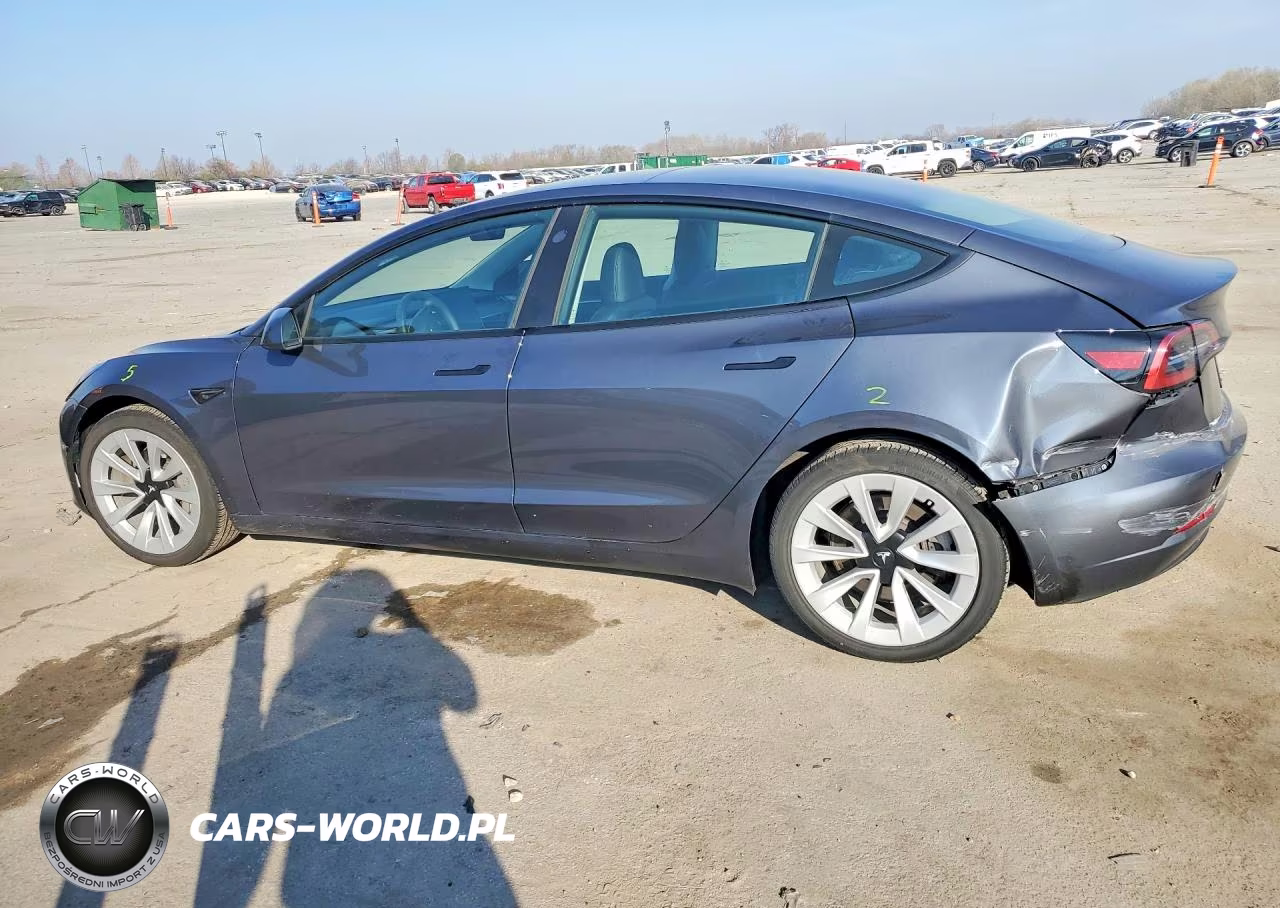 2023 Tesla Model 3 VIN:5YJ3E1EA4PF703442 - 2