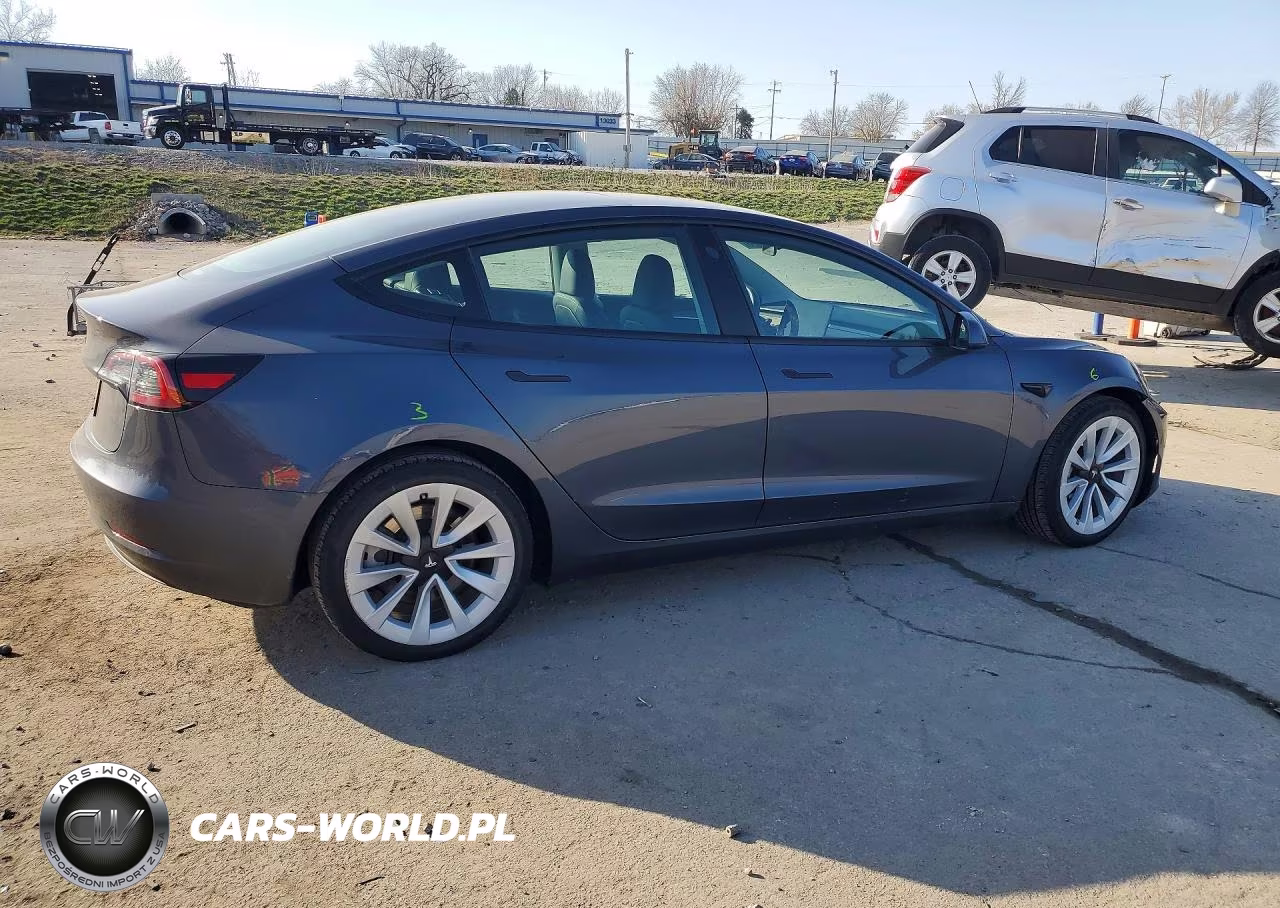 2023 Tesla Model 3 VIN:5YJ3E1EA4PF703442 - 3