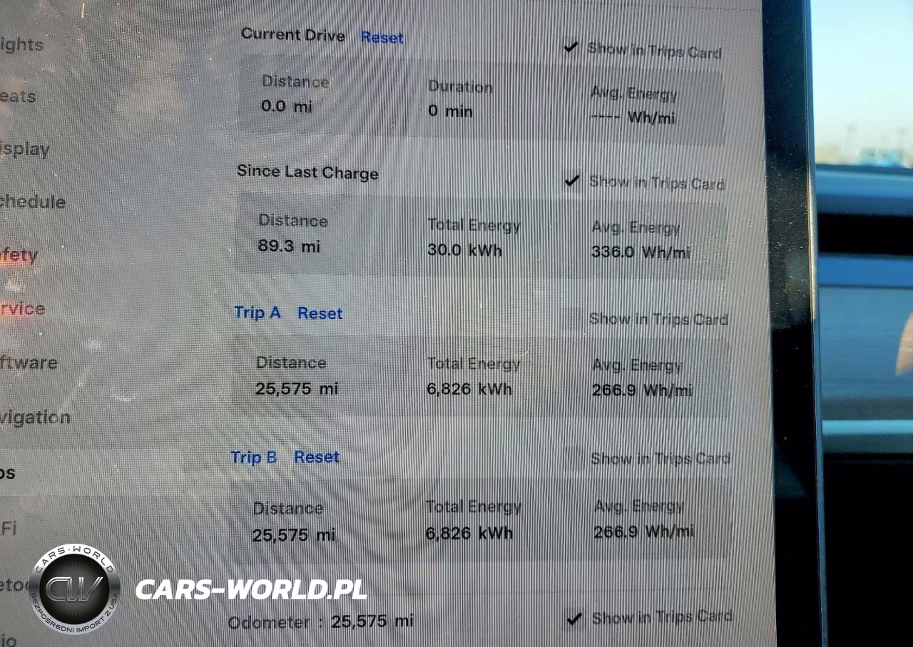 2023 Tesla Model 3 VIN:5YJ3E1EA4PF703442 - 9