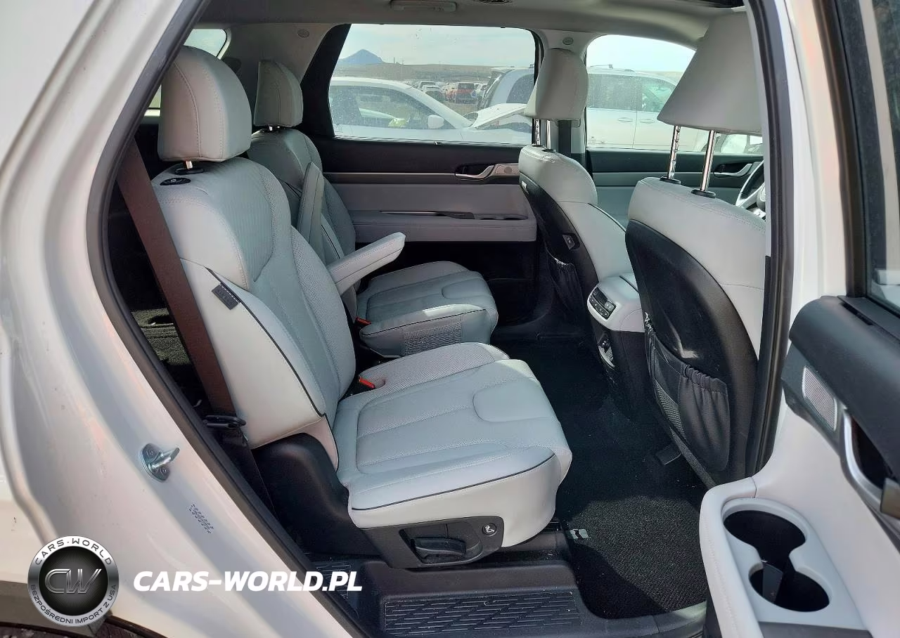 2023 Hyundai Palisade Sel VIN:KM8R4DGE4PU598340 - 10