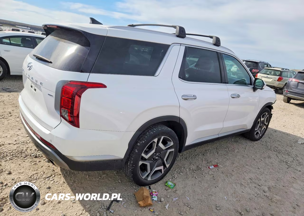 2023 Hyundai Palisade Sel VIN:KM8R4DGE4PU598340 - 3