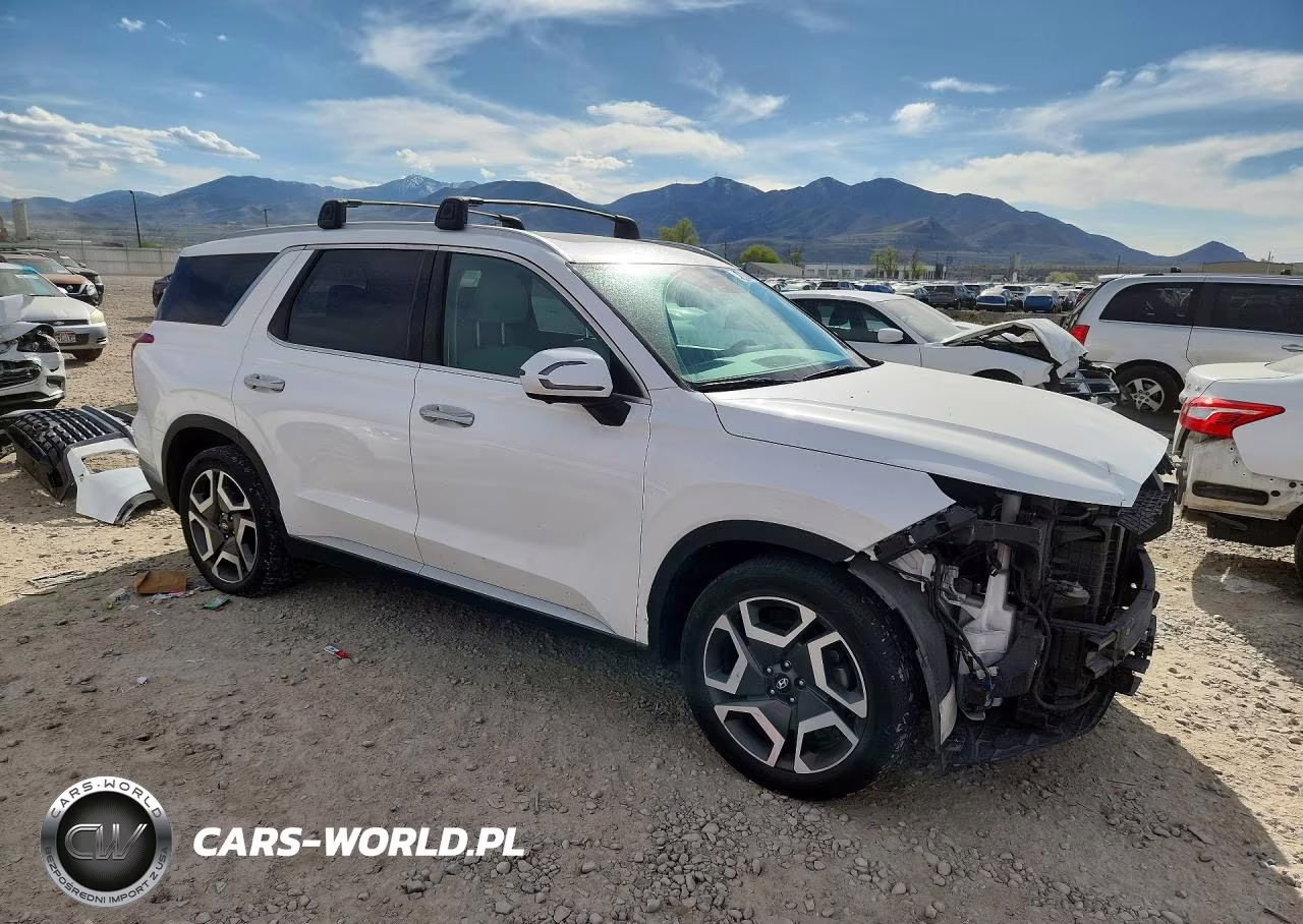2023 Hyundai Palisade Sel VIN:KM8R4DGE4PU598340 - 4