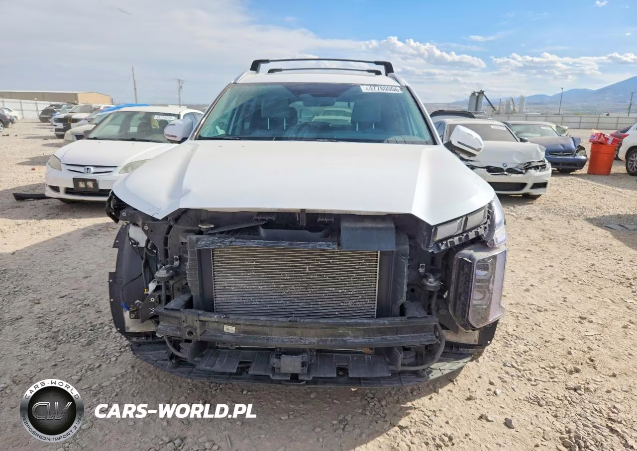 2023 Hyundai Palisade Sel VIN:KM8R4DGE4PU598340 - 5