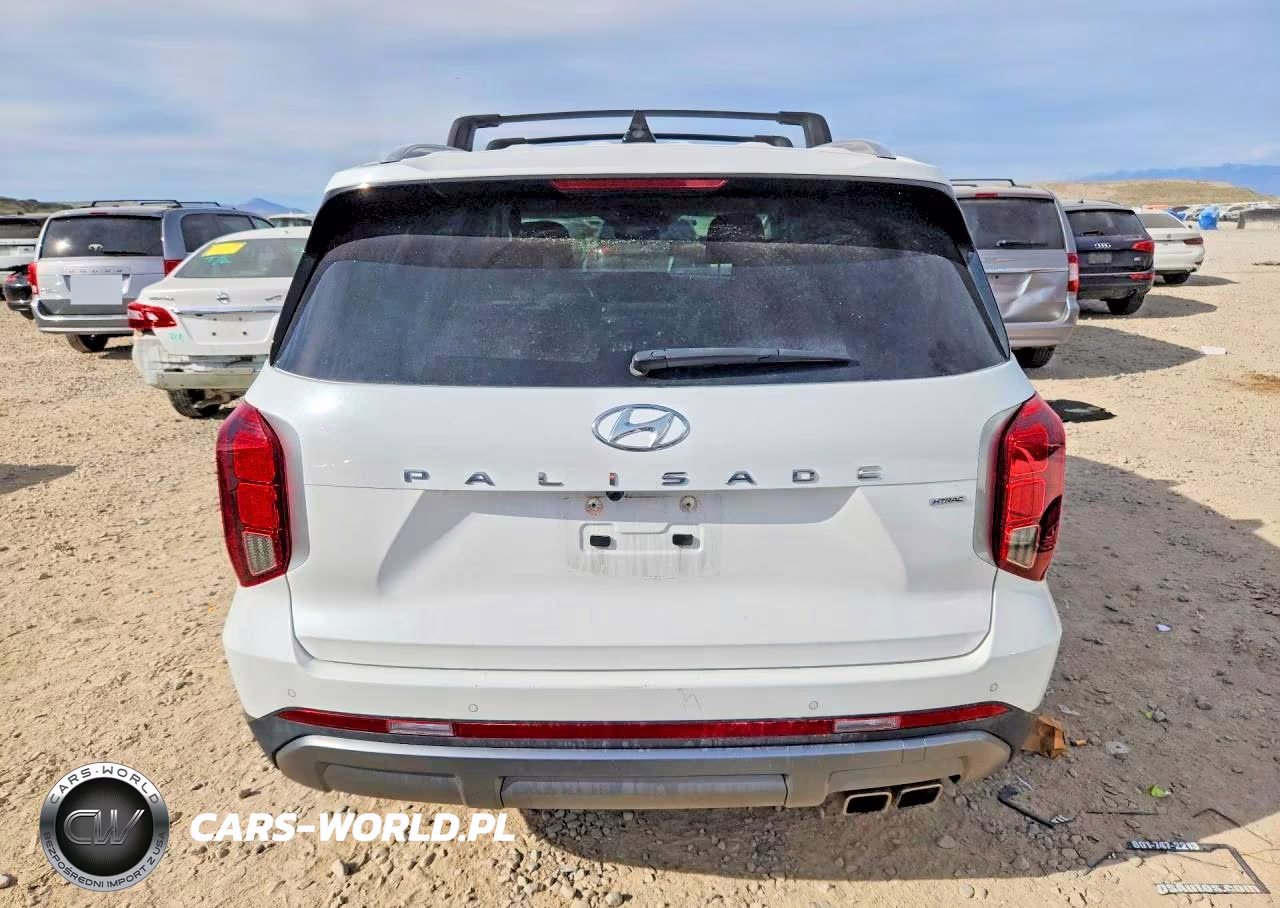 2023 Hyundai Palisade Sel VIN:KM8R4DGE4PU598340 - 6