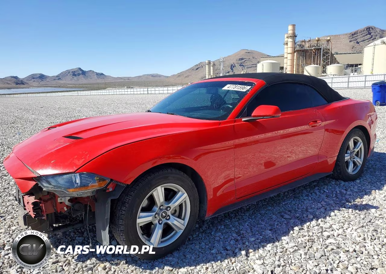 2019 Ford Mustang
