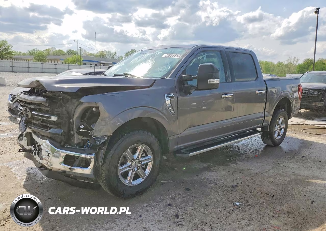 2024 Ford F150 Xlt