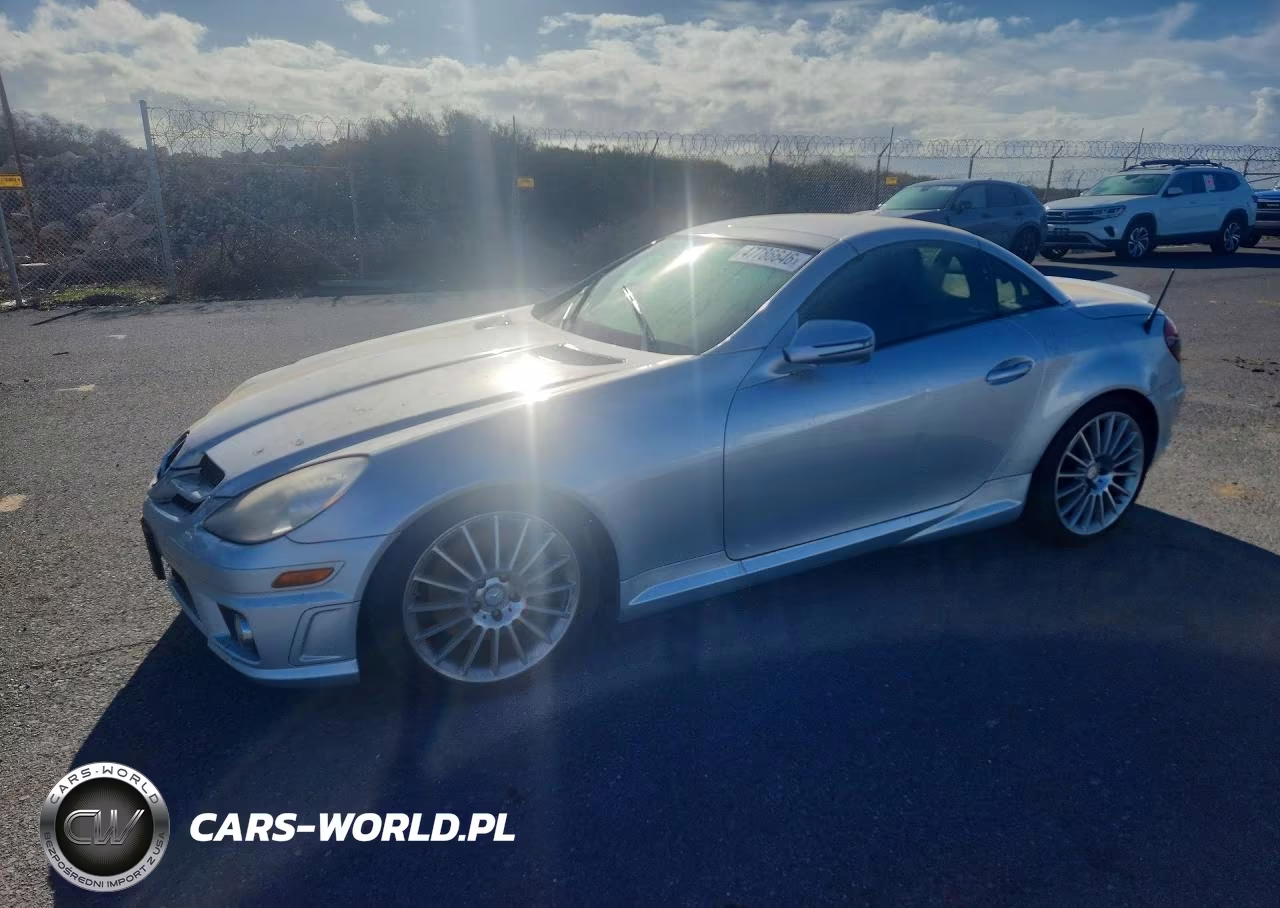2010 Mercedes-Benz Slk 300