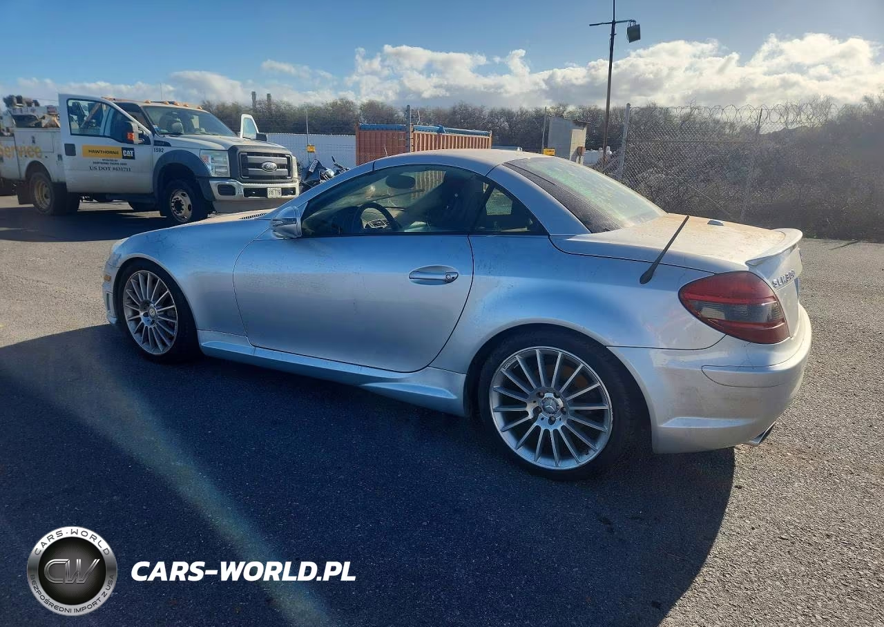 2010 Mercedes-Benz Slk 300 VIN:WDBWK5EA4AF229247 - 2
