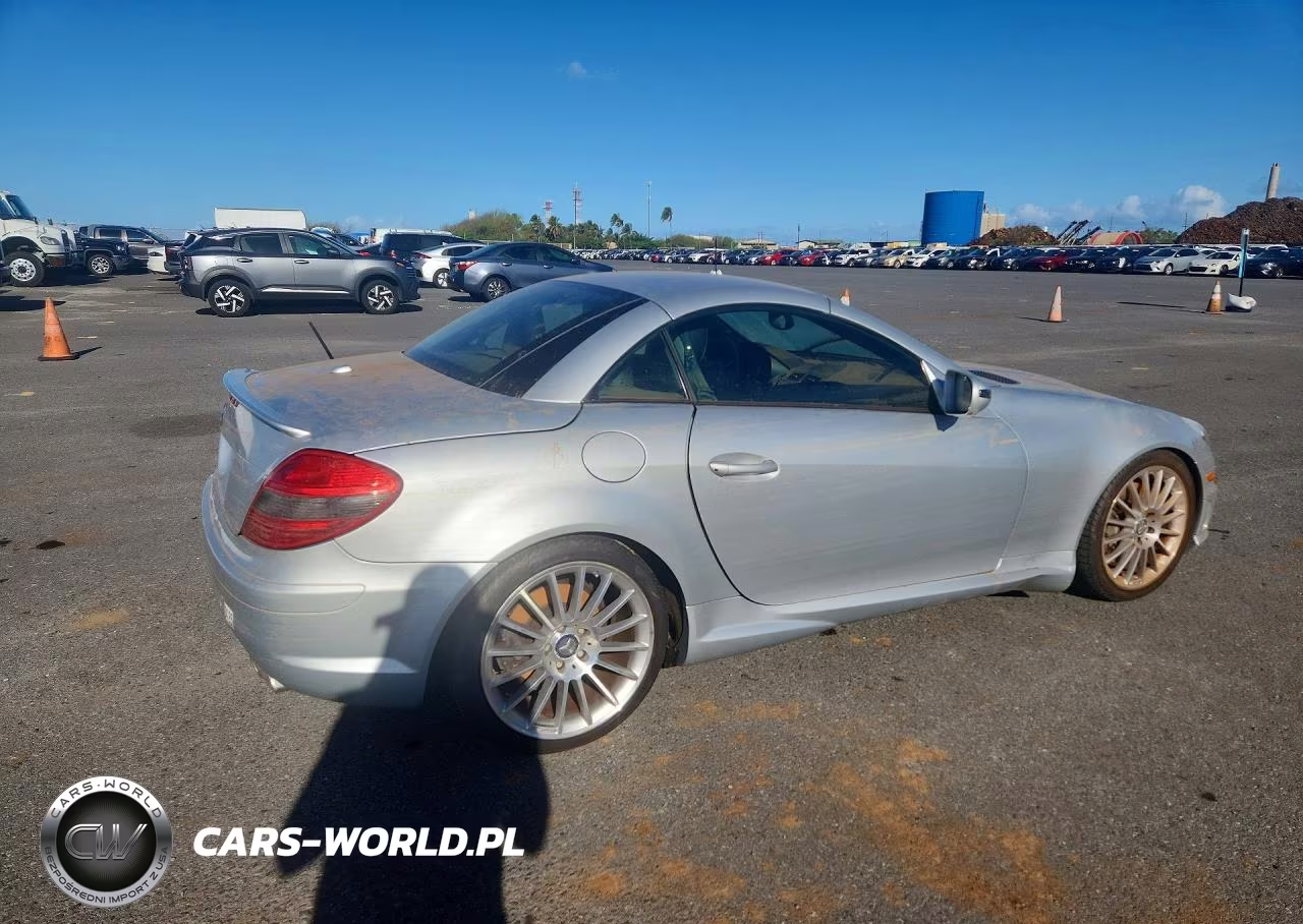2010 Mercedes-Benz Slk 300 VIN:WDBWK5EA4AF229247 - 3