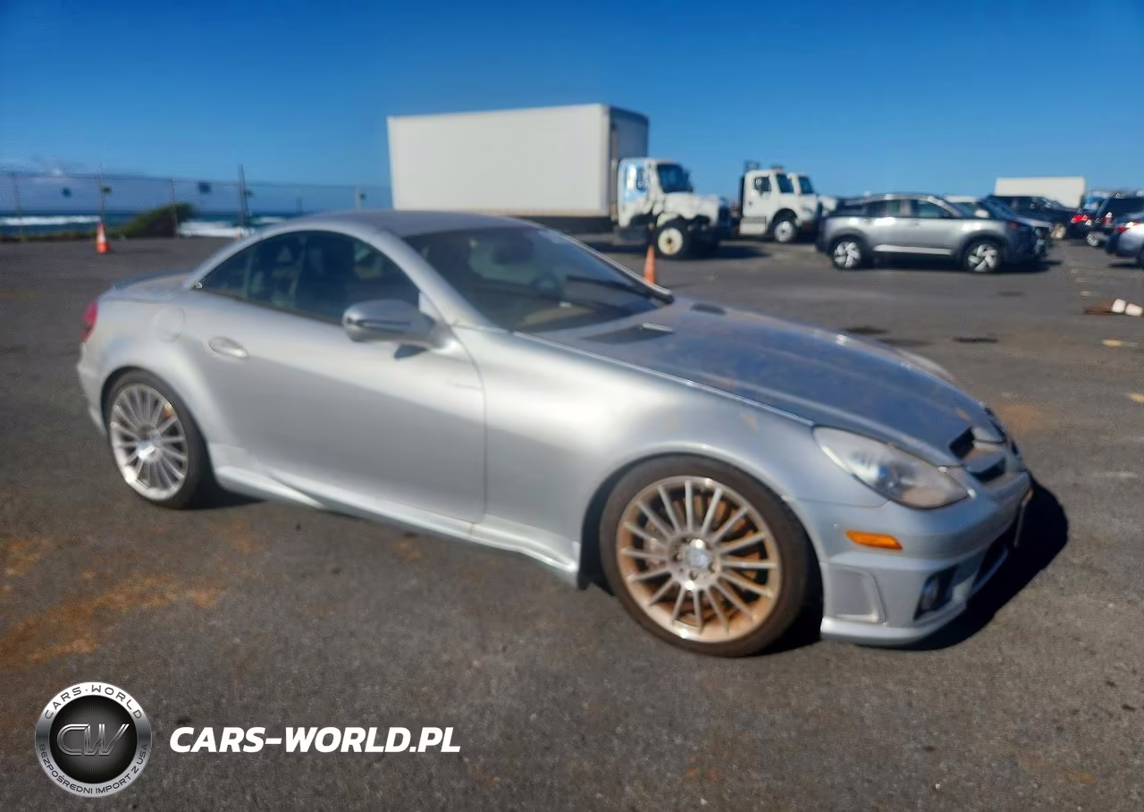 2010 Mercedes-Benz Slk 300 VIN:WDBWK5EA4AF229247 - 4