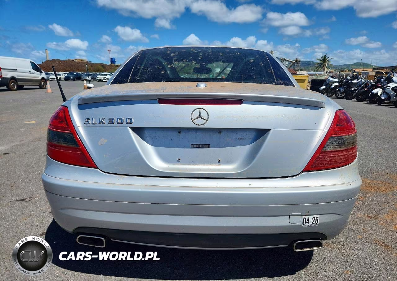 2010 Mercedes-Benz Slk 300 VIN:WDBWK5EA4AF229247 - 6