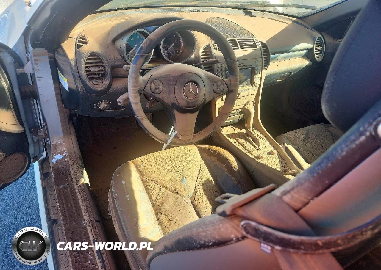 2010 Mercedes-Benz Slk 300 VIN:WDBWK5EA4AF229247 - 8
