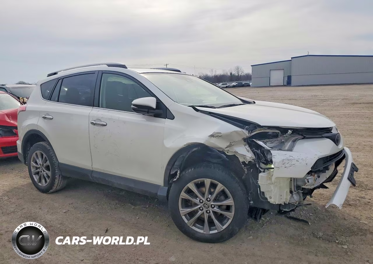 2017 Toyota Rav4 Limited VIN:JTMDFREV9HJ169982 - 4