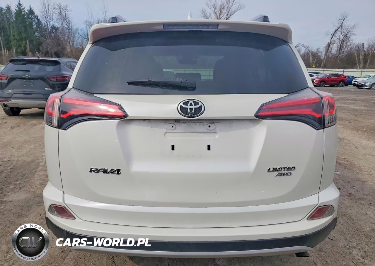 2017 Toyota Rav4 Limited VIN:JTMDFREV9HJ169982 - 6